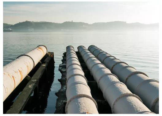 1631694460672676.jpg 1.jpg