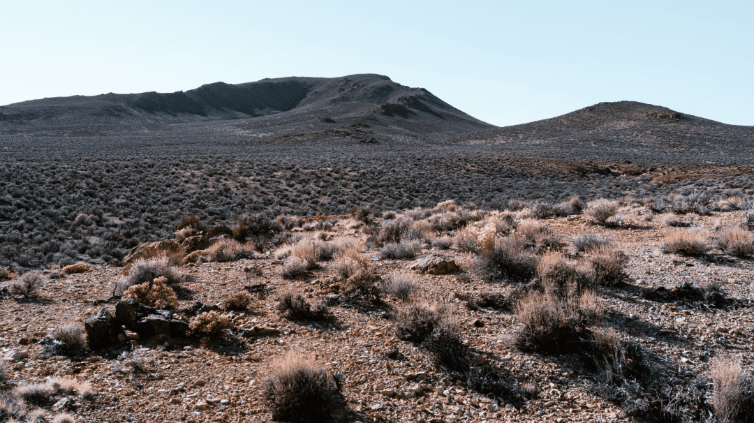 1648107722639800.png 1648107722639800.png